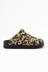 Soleil Premium Leopar Terlik